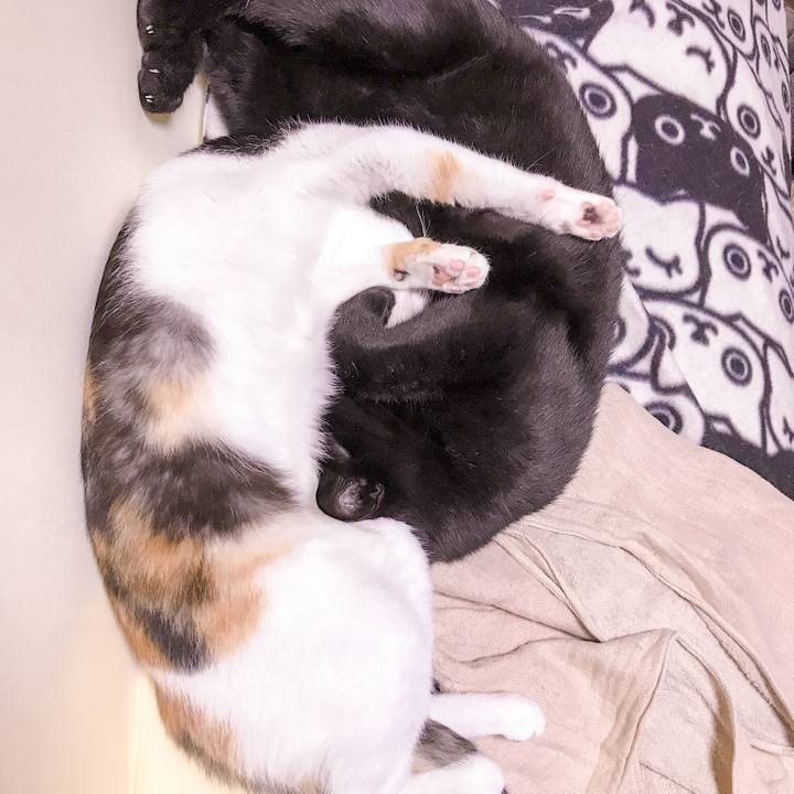 64808934 2f64 4dae af7d 20bfba1e888c