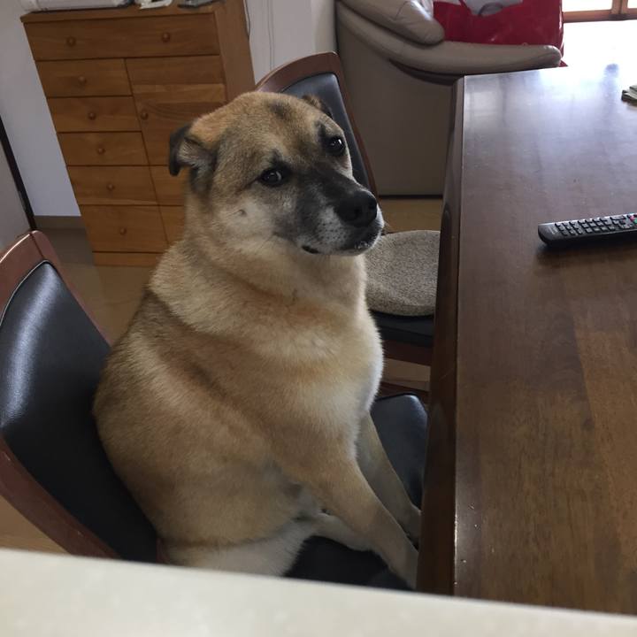 64809018 de06 4a88 a48e 594b337ed390