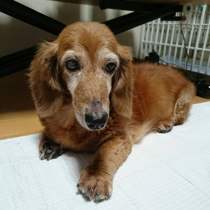 6481815c 5078 4270 9b18 5b98de784acb