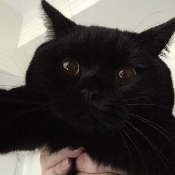 6481bcc9 daca 4b40 ad45 022e0bd92dd6