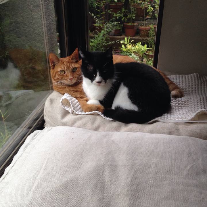 648268a2 5acb 45e8 bdf4 729c6507a644