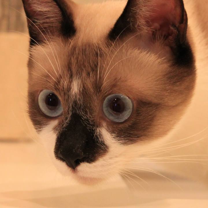 6482d2f7 bbc1 4606 bf08 46c12a8f525d