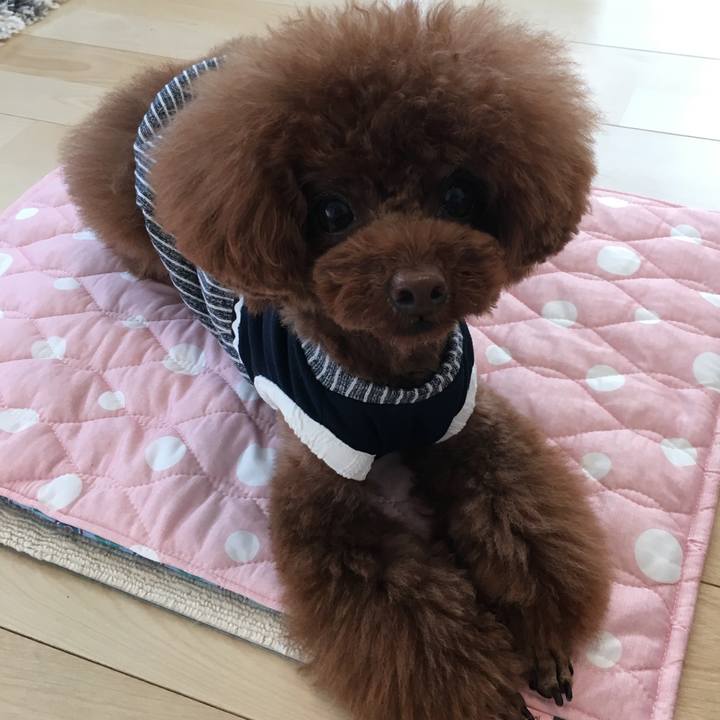 6482f845 8854 4137 b133 95cb5ffa12fa