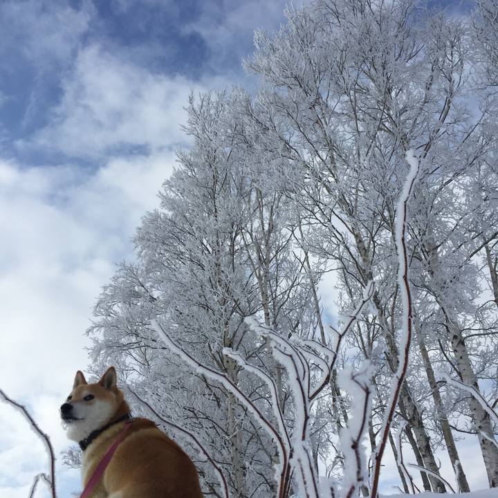 648305cd 53eb 49bc 8565 27187ddd1f8d