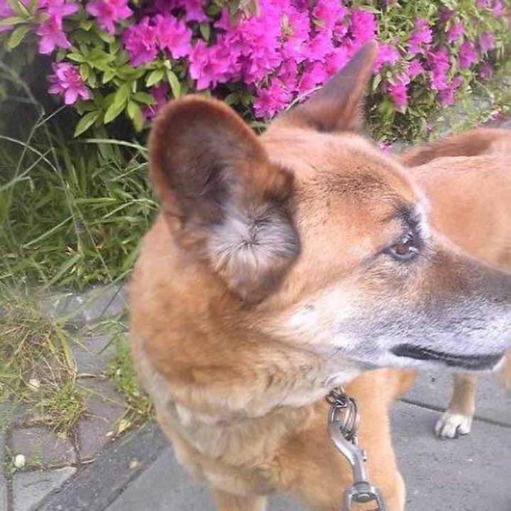 64830b38 1ef2 4fb3 bf6d af353d045149