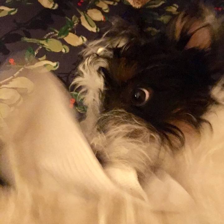 64839990 a9d4 46fc 8ddc 37a6130db829