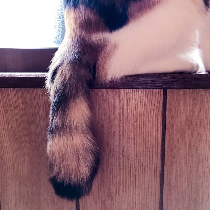 6484057b 01f6 4c0f 9131 b31583e382bf