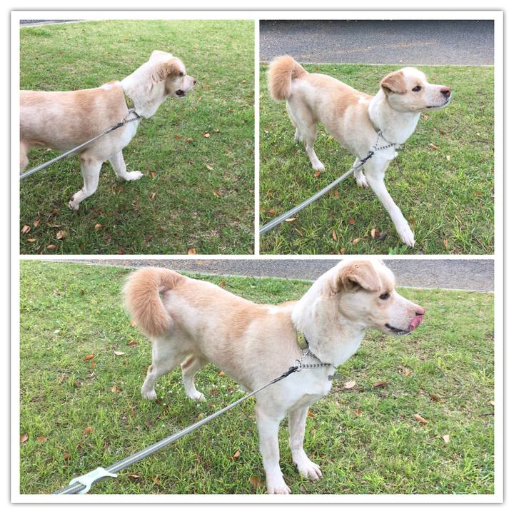 64845243 9794 48aa b16e 37e071a3a60c