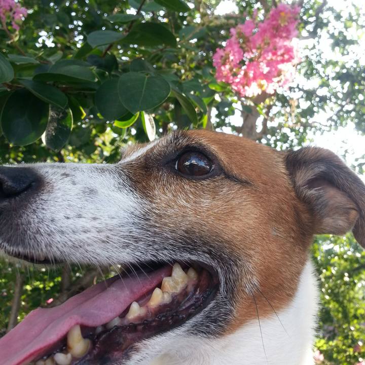 64850fe4 becb 4f13 a676 6a813bdb76eb