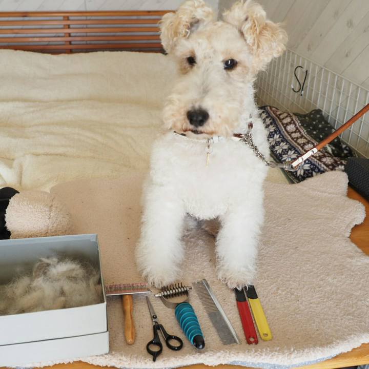 64854228 1013 4846 a4be 77305139761b