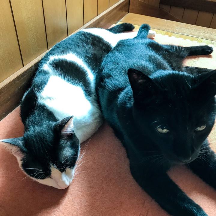 648565d7 4525 4ea9 b2cc a3e0de8272b0