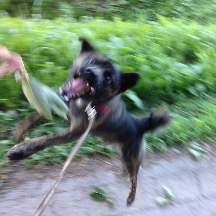 6485660f 68cc 4929 8112 1e763837a3d1