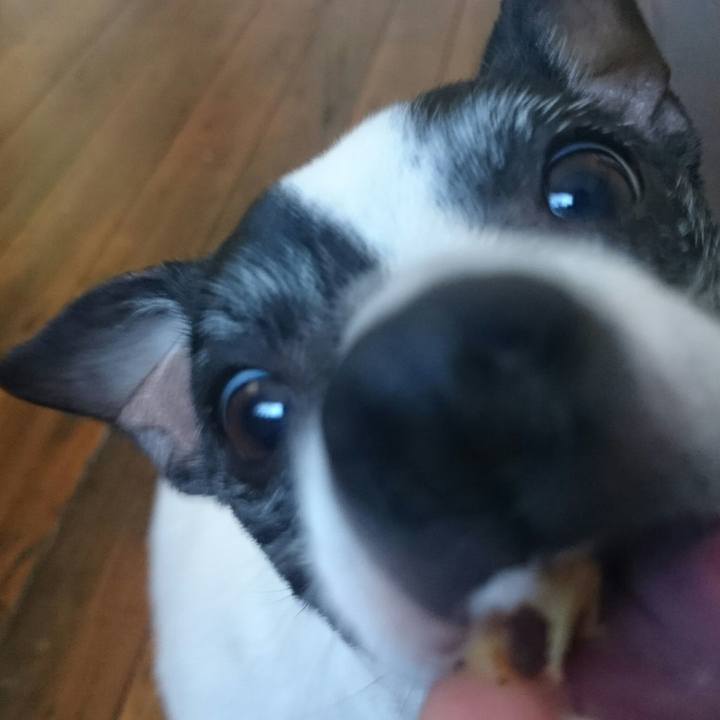 6485a8ff b8e9 485b 86fb bdd2d797a9da