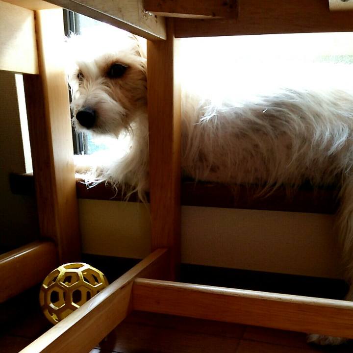 6485f709 329f 4173 96a3 7ce402eae19a