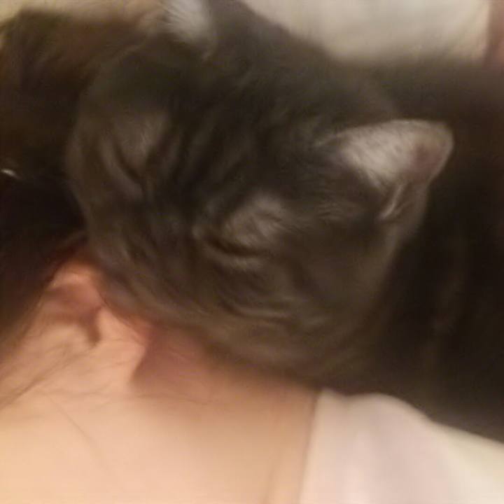 648697d0 9ba6 4647 86c1 fd2429f04525