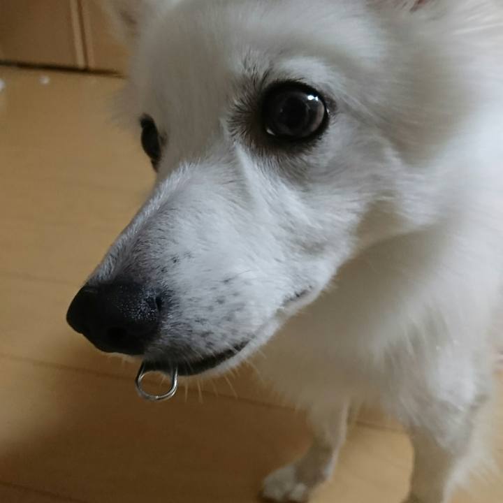 6487cf1a 4246 4653 b738 83fa782d0e11