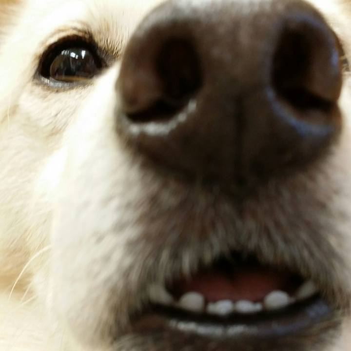 64881dd4 ff39 45f3 bd62 23e78e8f2f0b