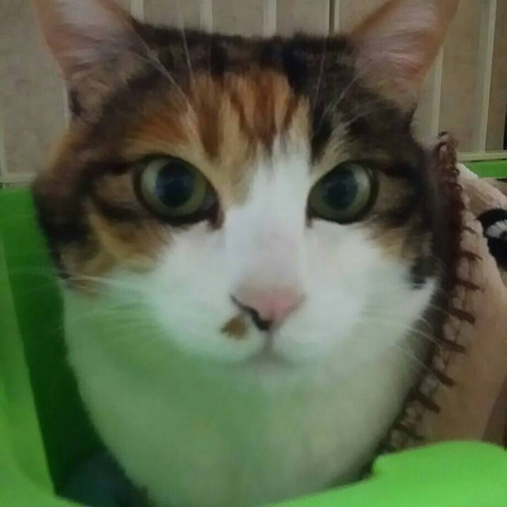 648919b6 9233 41ed aa9c ae09abf0894d