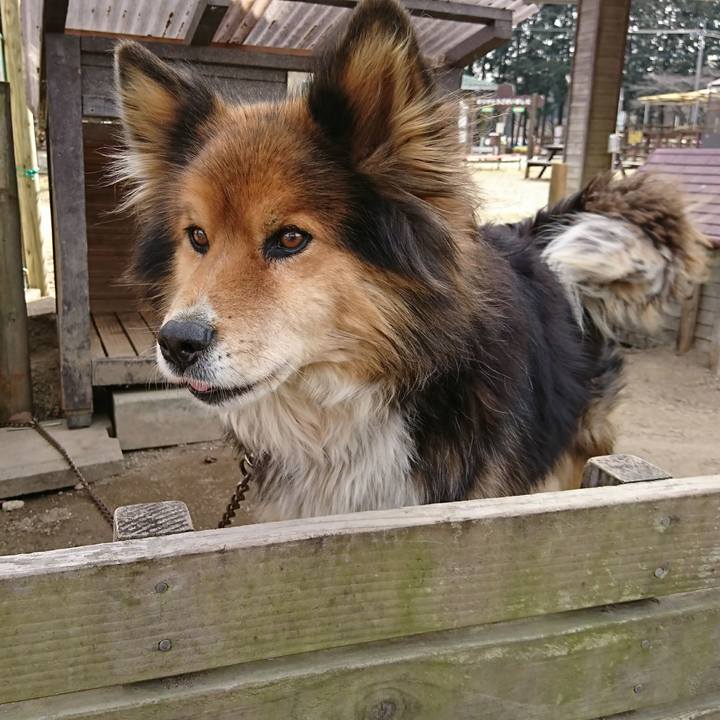 64896f10 36e3 46d1 aa89 d64e85951768