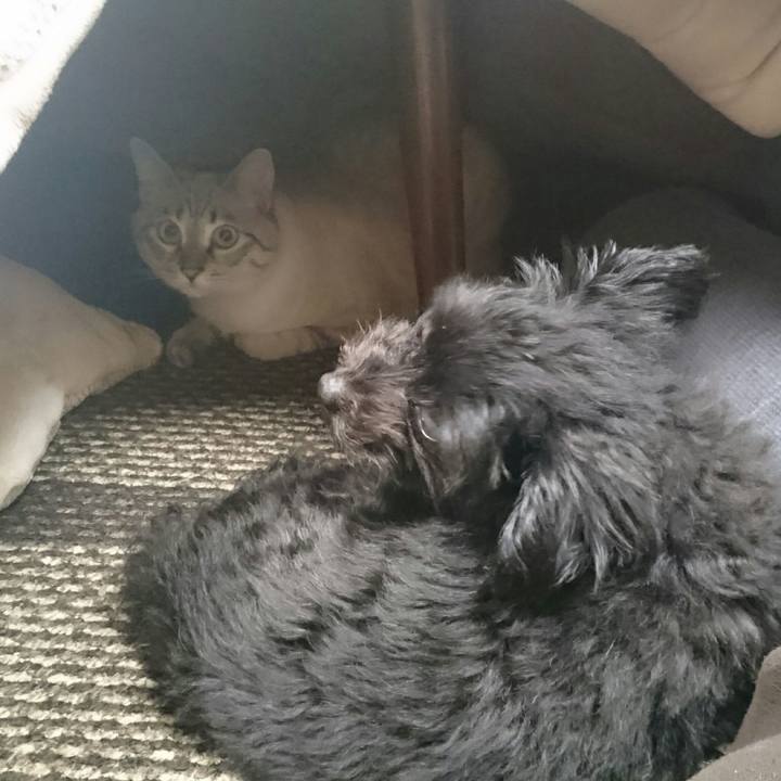 6489bf4a 4352 4f35 a2df 0579bcc8f231