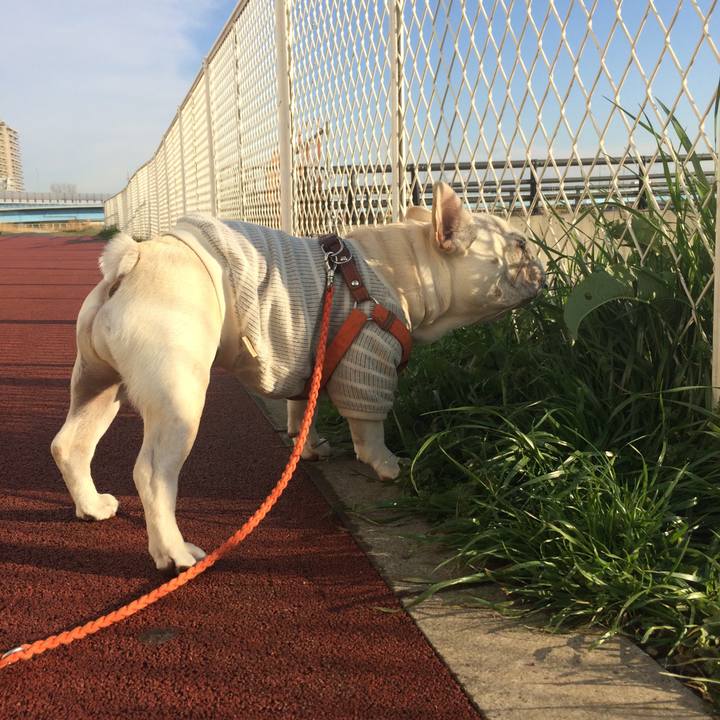 648a2e17 78b5 46b1 8627 dcb506663abb