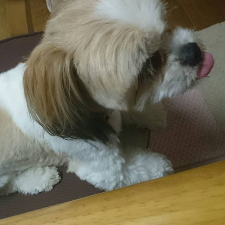 648ad1a7 c879 4cbd 83a8 e339a60b9adf