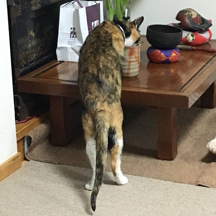 648b3b6d 55ba 41eb b3da a78c185f54ec