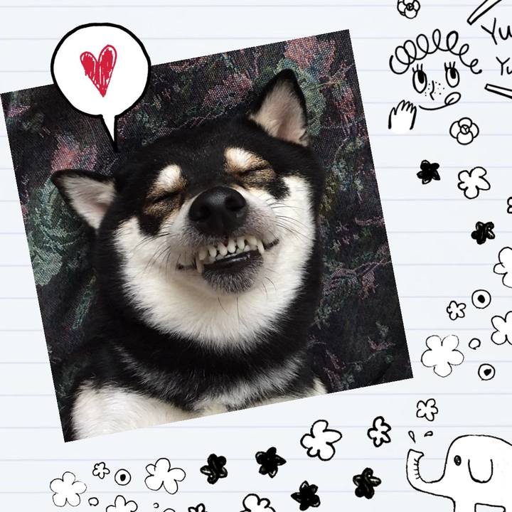 648bc40b cd4b 4660 bbc9 89d94880dfe0