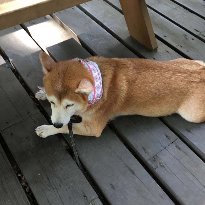 648c0341 6a8b 458b 9879 392f0ab4c364