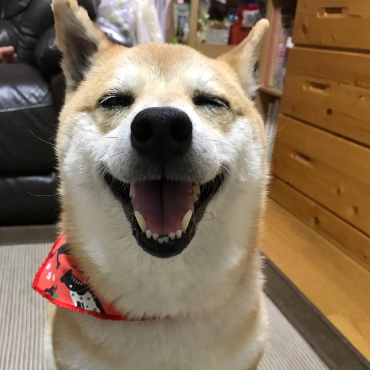 648daa83 5c67 42ca b1ab 49bd952df039