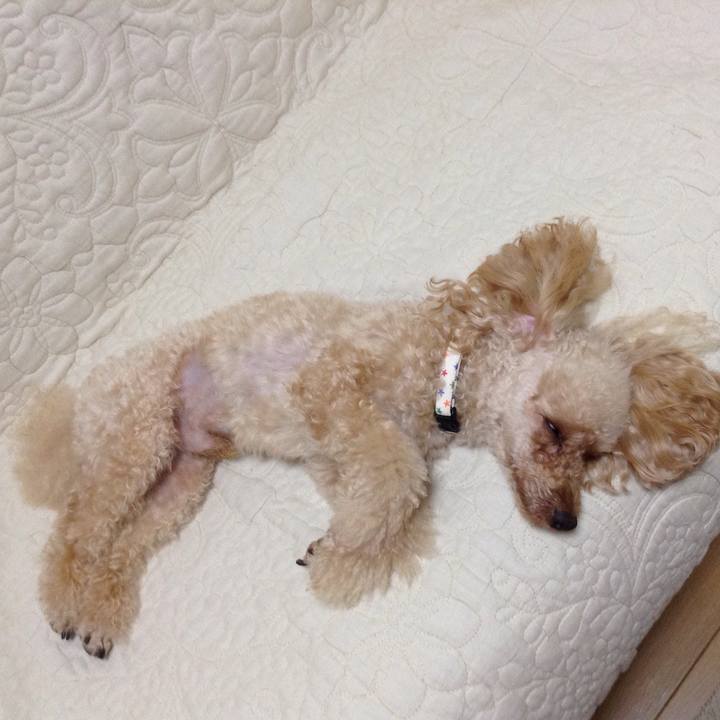 648dd854 9045 4342 b151 d2be0ba598b5