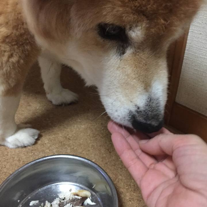 648de931 9395 49a4 8d84 3a86a26d53a5