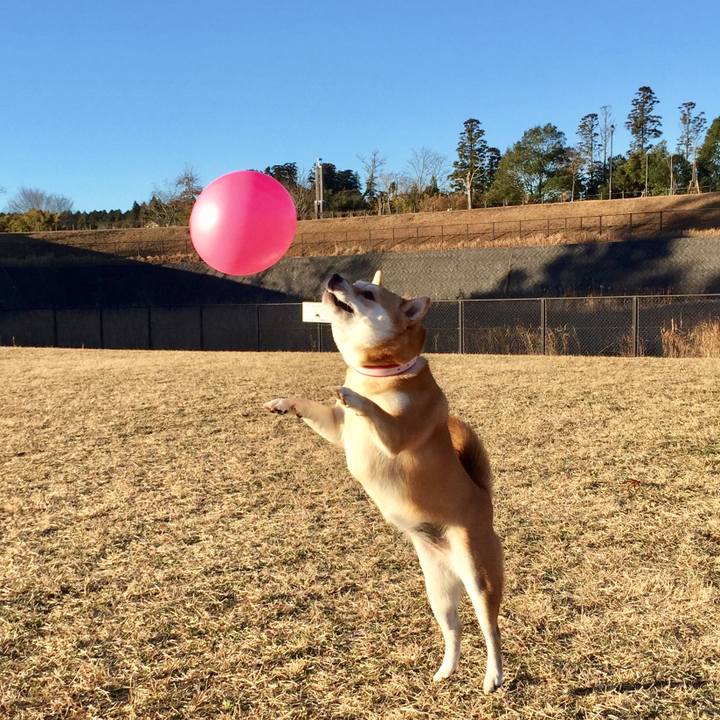 648e6e57 a2c6 4b60 8d31 3b7bb782a5cf