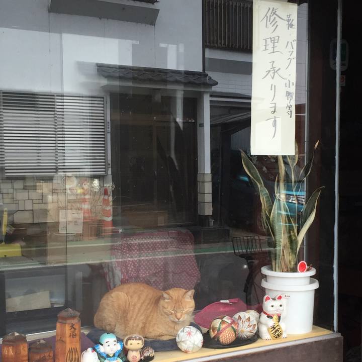 648f9e66 dc5c 4a5d 83f1 13f02a36bdd3