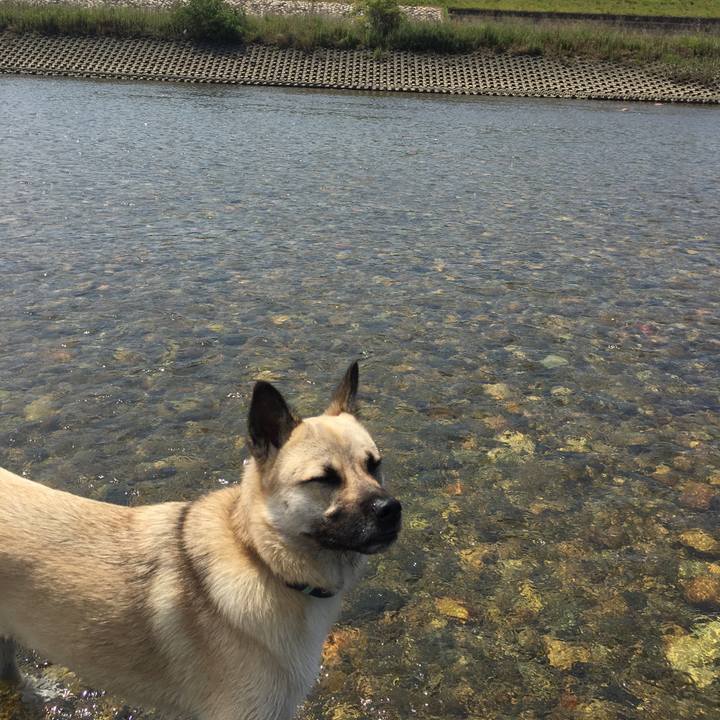 648fd6d0 4e1f 4197 bac6 414a7f0ce736