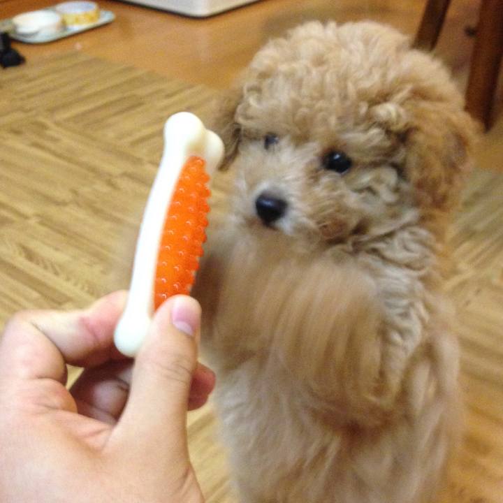 648fdb81 b165 4a08 9413 c0897d0e731f