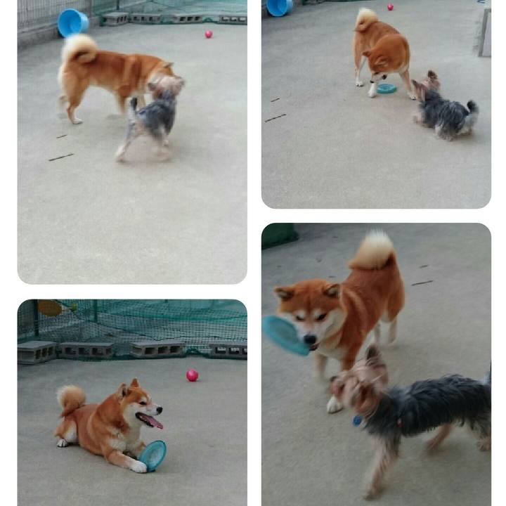 648fe969 9fff 47c0 93ac bff32492a999