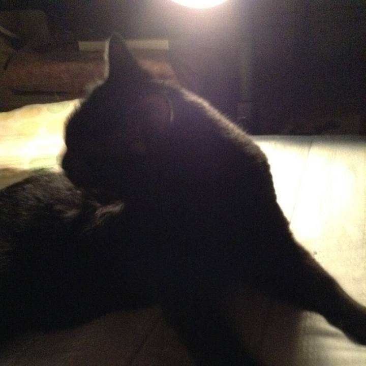 64901911 224d 47e7 8a53 1114e99cfb35