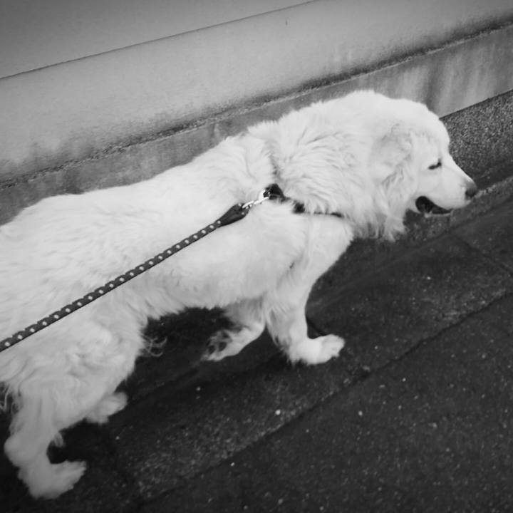 64904021 e422 4944 b48f 30a163b0bb0a