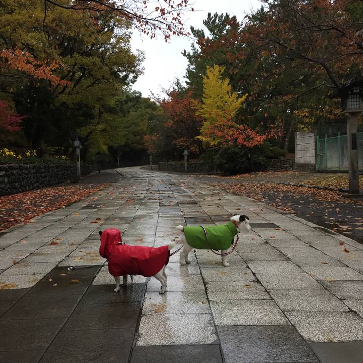 6490ea2f 9936 4ee6 9b57 6d118414f264