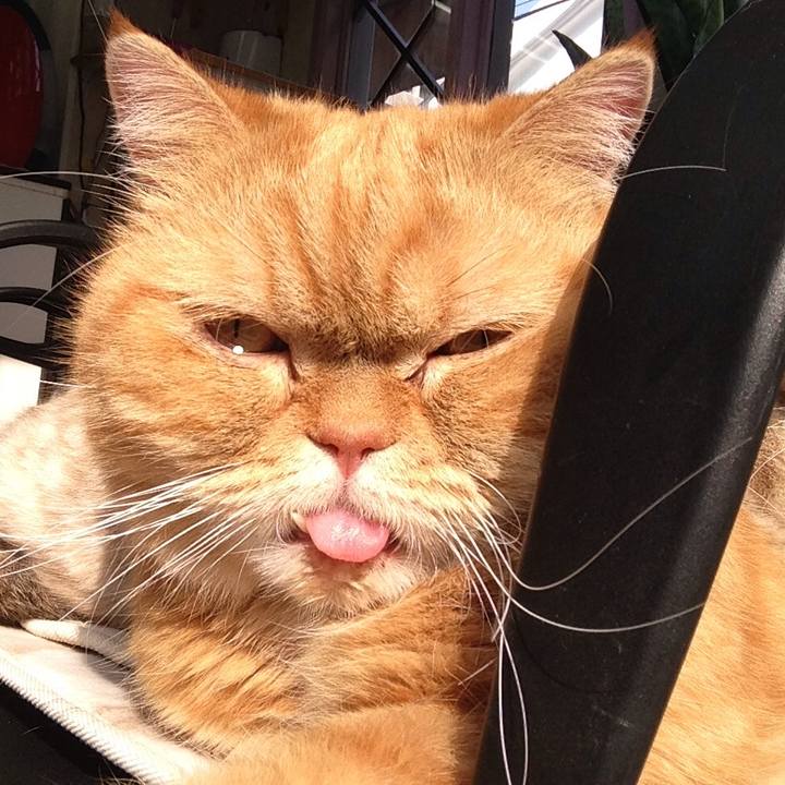 64910e8b 9461 4cf9 b48a 71e2ef4c1f49