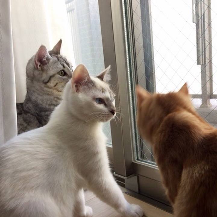 64916369 c50d 4829 b328 b6e790f5b936