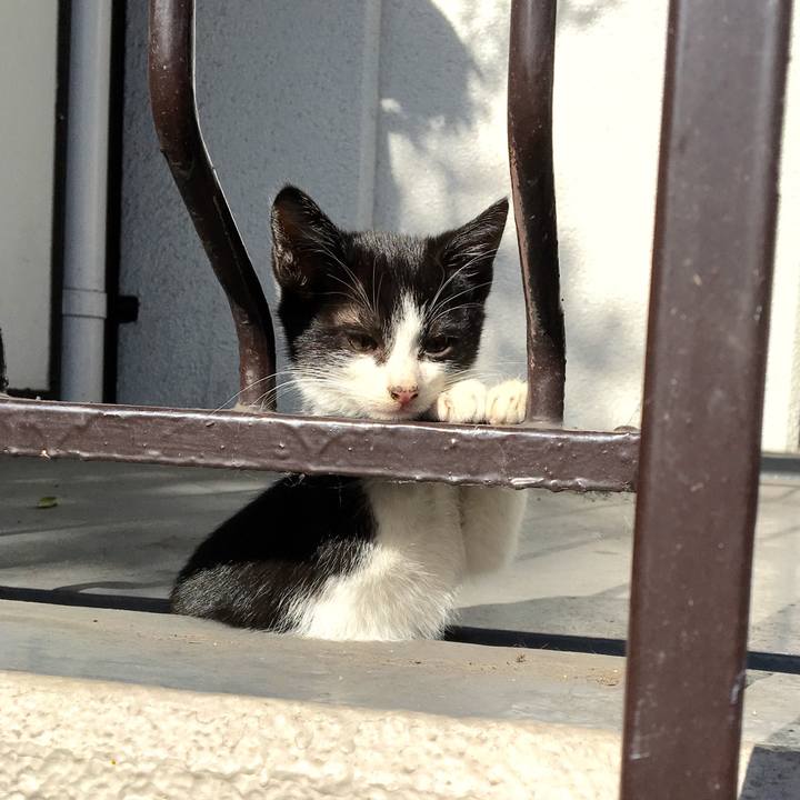 6491dfe5 f258 487c b4cc e7d822eeed35