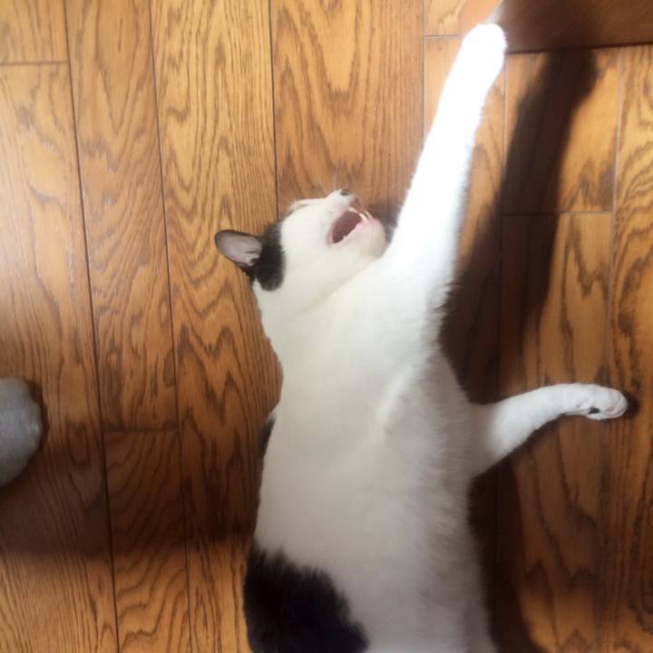 64927200 40ff 4446 bd0a 00c0b29a9ea3