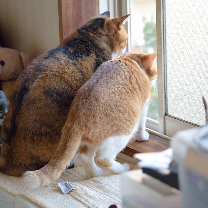 6492978e dcc7 45a7 a200 a5eb84cb7316