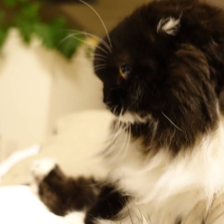 64929d82 4bf7 4f10 9911 70be8ef979c4