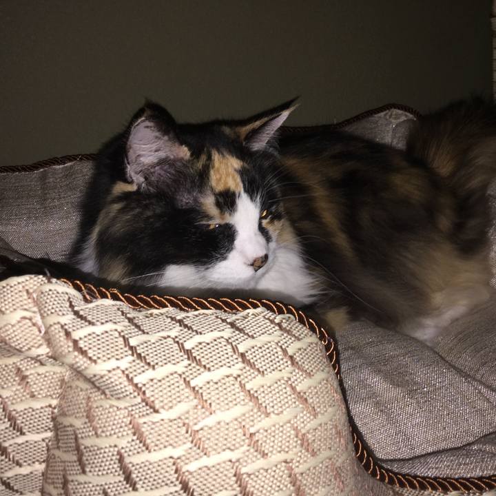 649310cf afc8 48a2 9db9 8861122933ee