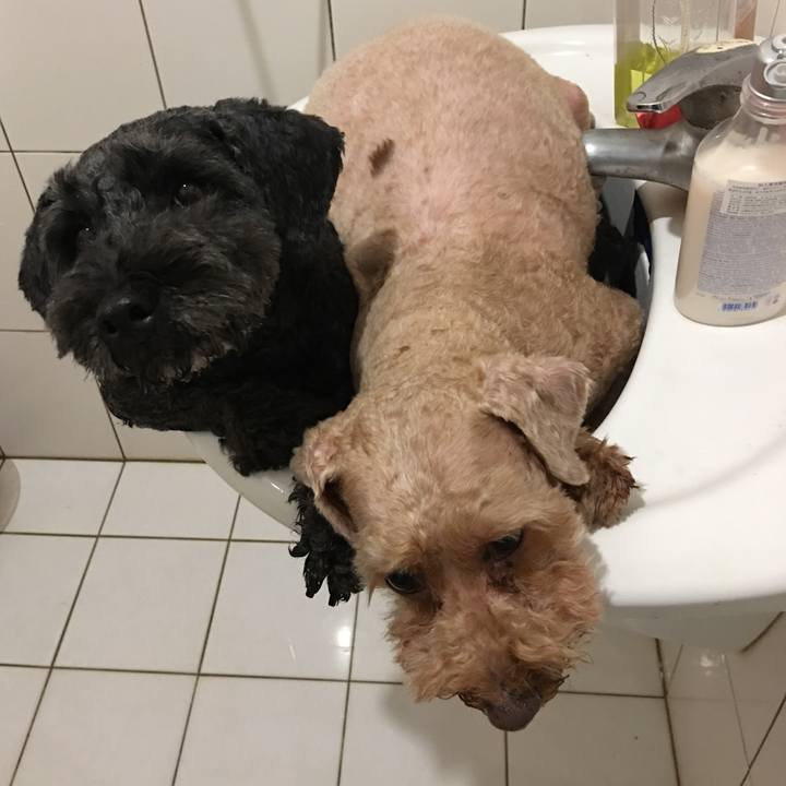 6495379b 3b5a 4de8 bc80 407fa9dee060