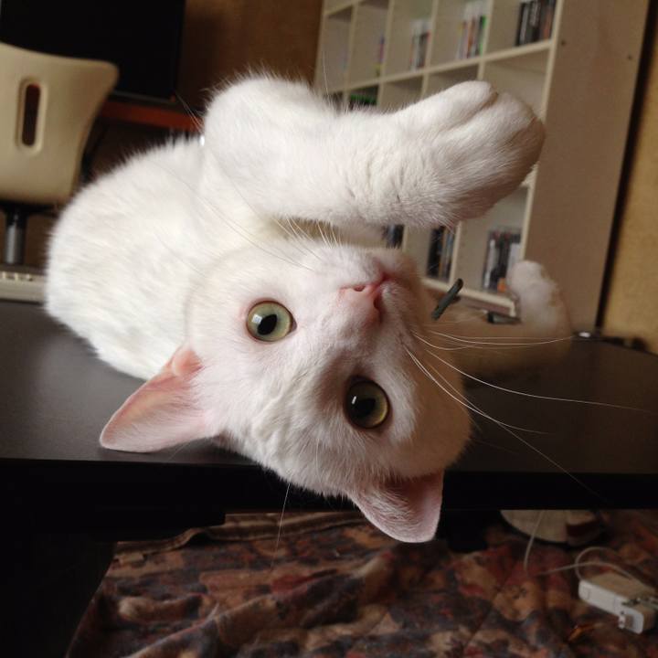 64953bbd 5008 49e3 a84a 2753d03b6c68