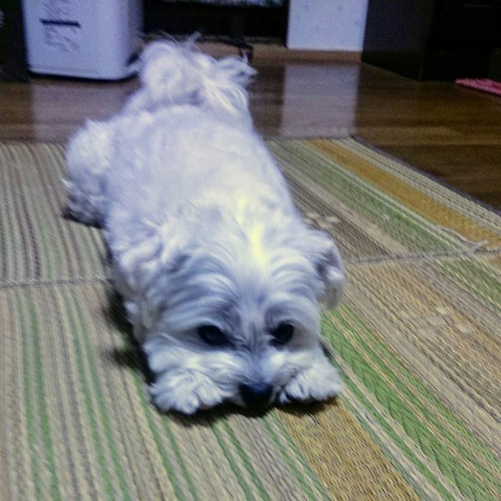 64954a6b 1c9f 4863 bd9c 237f15dd80ff